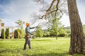 Best Tree Maintenance Programs  in Factoryville, PA