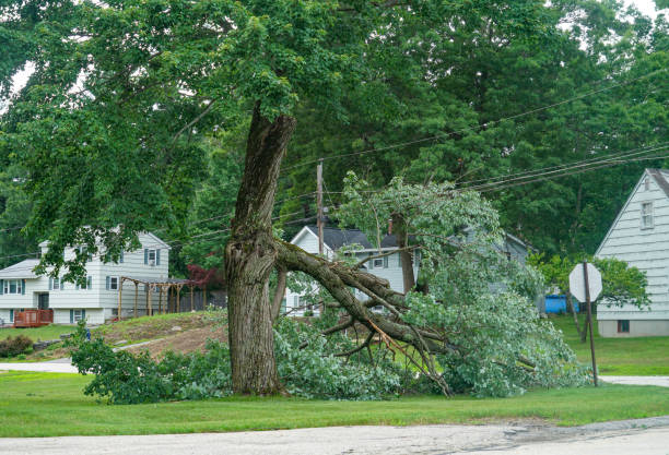 Leaf Removal in Factoryville, PA