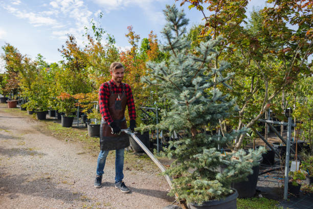 Best Commercial Tree Services  in Factoryville, PA